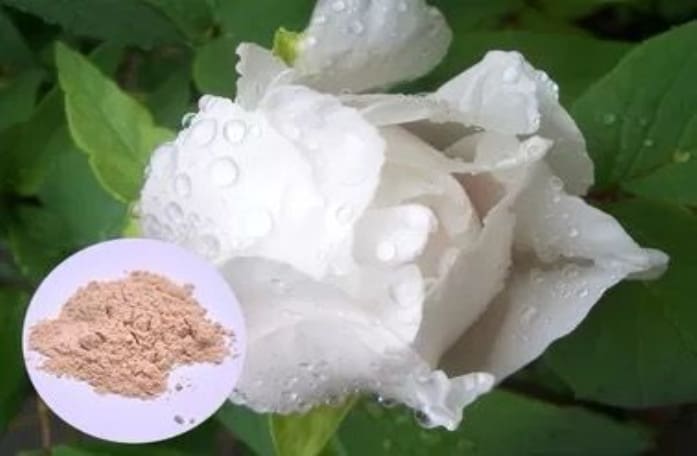 A close up of a flower with a bowl of powder